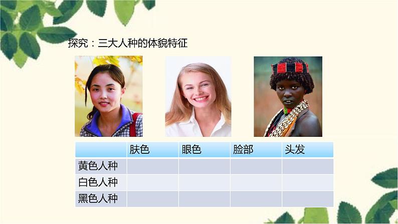 商务星球版地理七年级上册 5.2 世界的人种、语言和宗教课件第6页