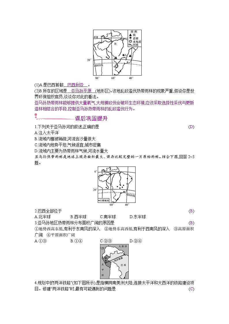 人教版地理七年级下册 第九章 第二节第二课时 教案第2页