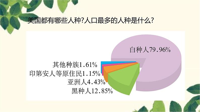 人教版地理七年级下册 第九章  西半球的国家第一节  美国第一课 时  民族大熔 炉  农业地区专业化-课件第5页