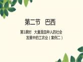 人教版地理七年级下册 第1课时  大量混血种人的社会   发展中的工农业-课件