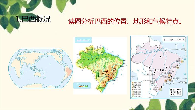 人教版地理七年级下册 第1课时  大量混血种人的社会   发展中的工农业-课件第5页