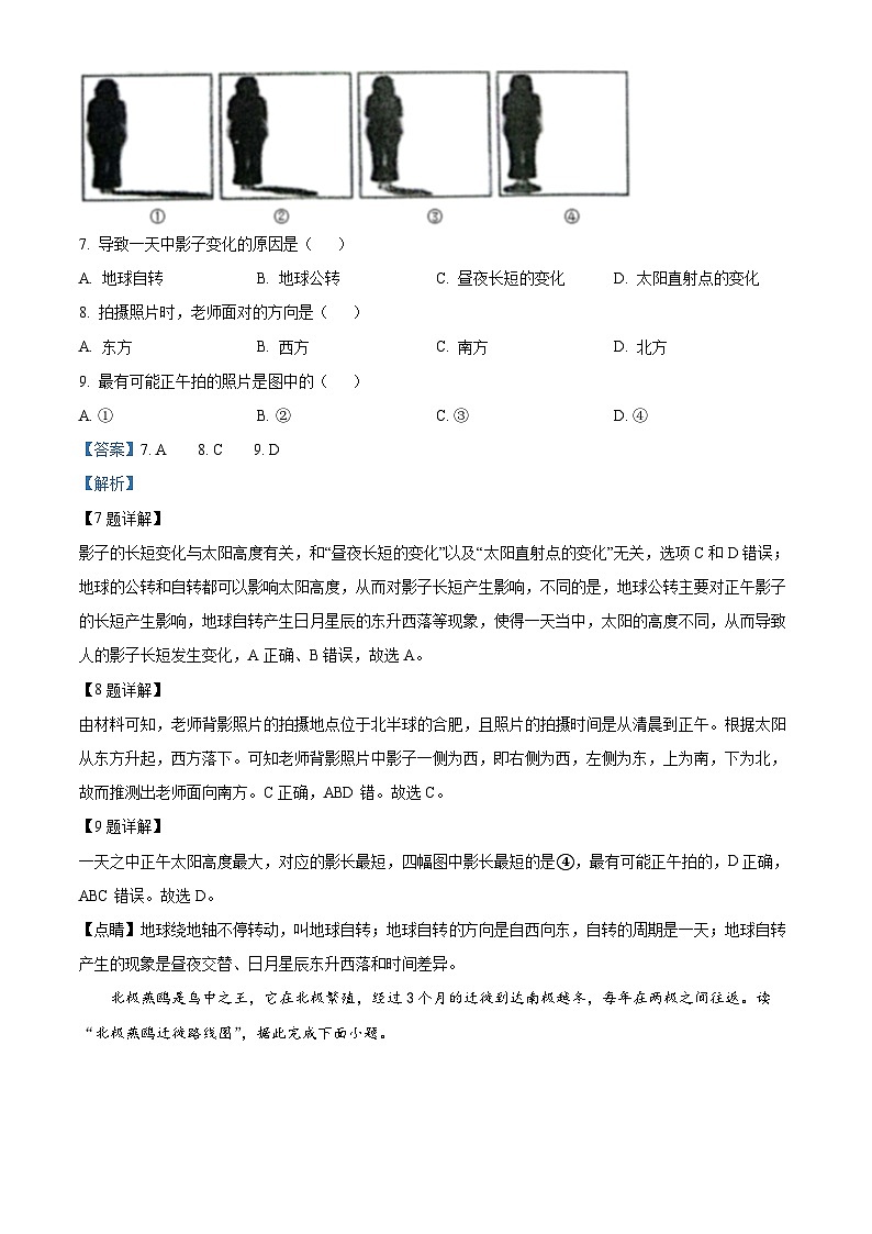 安徽省合肥市琥珀中学2023-2024学年七年级上学期期中地理试题（解析版）第3页