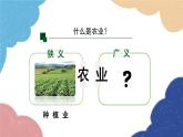 人教版地理八年级上册 第四章 第二节 农业 第一课时课件