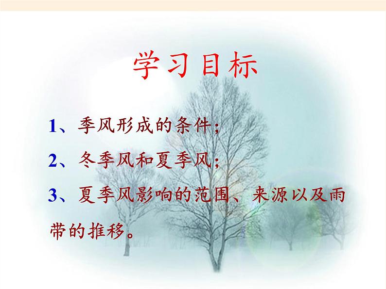 湘教版地理八年级上册第二章 第二节 中国的气候(3) 课件04