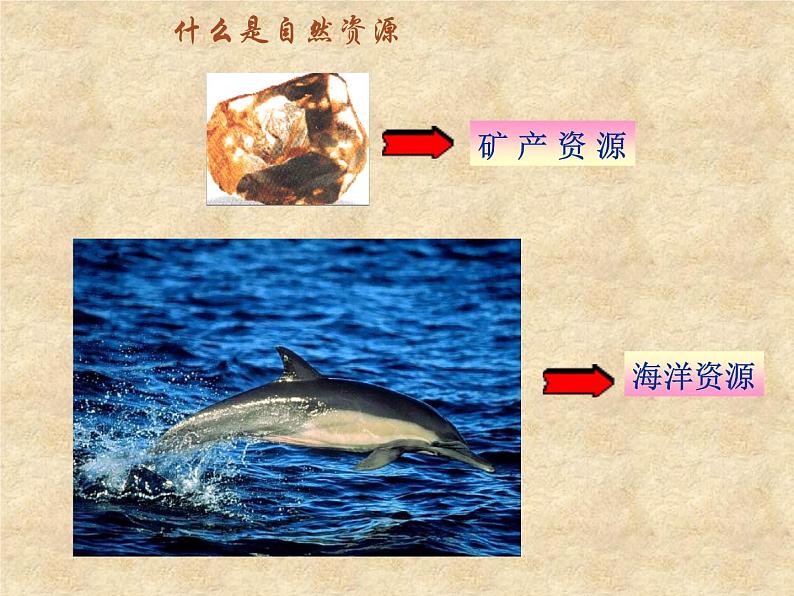 湘教版地理八年级上册第三章 第一节 自然资源概况_ 课件第5页