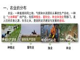 湘教版地理八年级上册第四章 第一节 中国的农业 课件