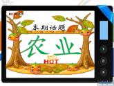 湘教版地理八年级上册第四章 第一节 农业(4) 课件