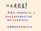 湘教版地理八年级上册第四章 第一节 农业(4) 课件