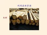 湘教版地理八年级上册第三章 第一节 自然资源概况 课件