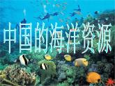 湘教版地理八年级上册第三章 第四节 中国的海洋资源_ 课件