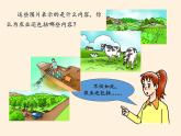 湘教版地理八年级上册第四章 第一节 农业(2) 课件