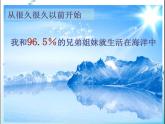 湘教版地理八年级上册第三章 第三节 中国的水资源 课件