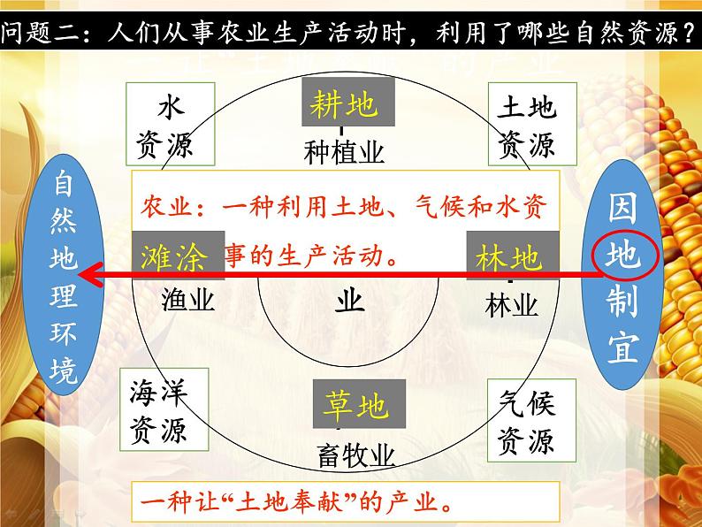 湘教版地理八年级上册第四章 第一节 农业 课件05