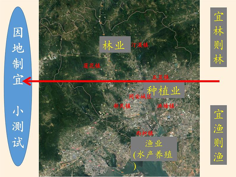 湘教版地理八年级上册第四章 第一节 农业 课件06