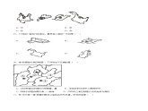 1.1辽阔的疆域（课时2）（练习）-2023-2024学年八年级地理上册同步精品备课（精品课件+分层练习）（商务星球版）