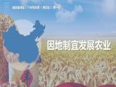 4.1因地制宜发展农业（课件）-2023-2024学年八年级地理上册同步精品备课（精品课件+分层练习）（商务星球版）