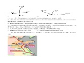 4.3合理发展交通运输（同步练习）-2023-2024学年八年级地理上册同步精品备课（精品课件+分层练习）（商务星球版）