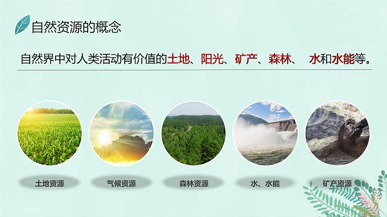 活动课 合理利用与保护自然资源（课件）-2023-2024学年八年级地理上册同步精品备课（课件+分层练习）（商务星球版）08