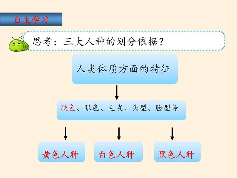 湘教版地理七年级上册 第三章 第二节 世界的人种(1)（课件）第3页