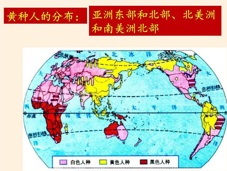 湘教版地理七年级上册 第三章 第二节 世界的人种(3)（课件）第8页