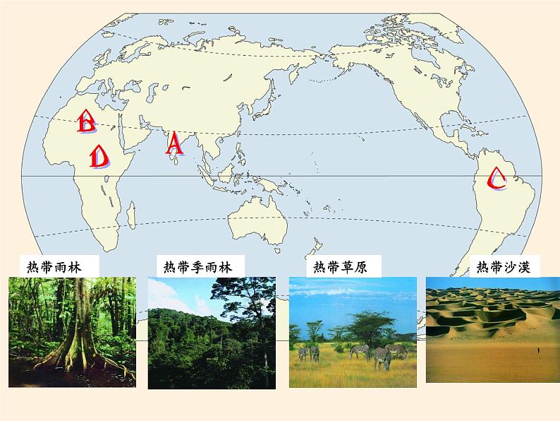 湘教版地理七年级上册 第四章 第四节 世界主要气候类型(3)（课件）03