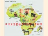 湘教版地理七年级下册  第六章  第二节 非洲(4) 课件