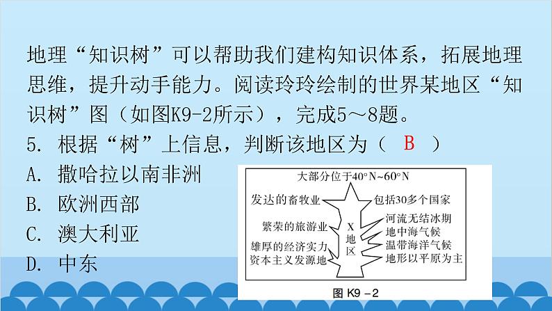 2024年中考地理复习 专题九 东半球其他的地区和国家课件06