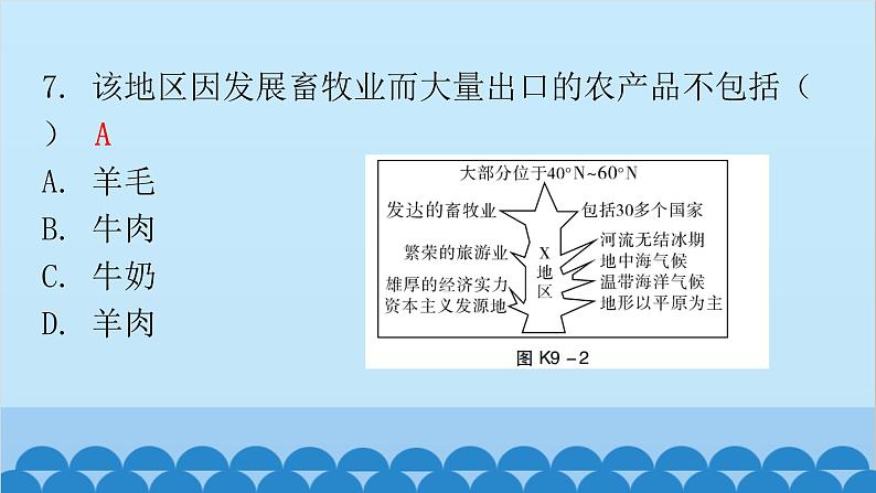 2024年中考地理复习 专题九 东半球其他的地区和国家课件08