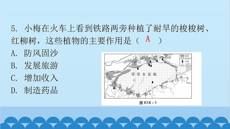 2024年中考地理复习 专题十八 西北地区和青藏地区课件第5页