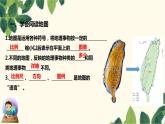 人教版地理七年级上册 1.3地图的阅读课件