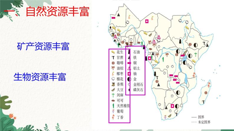 人教版地理七年级下册 第八章 东半球其他的地区和国家 第三节 撒哈拉以南非洲 第二课时课件06