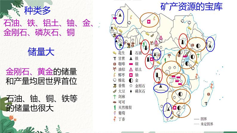 人教版地理七年级下册 第八章 东半球其他的地区和国家 第三节 撒哈拉以南非洲 第二课时课件第7页