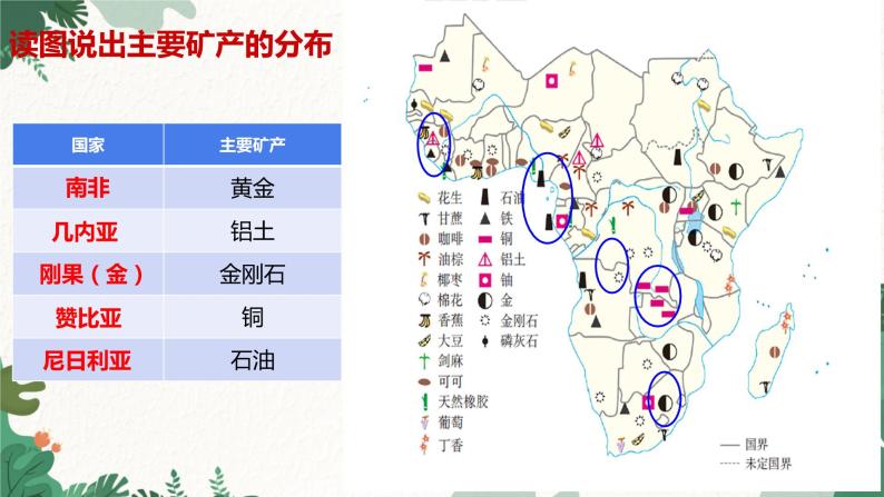 人教版地理七年级下册 第八章 东半球其他的地区和国家 第三节 撒哈拉以南非洲 第二课时课件08