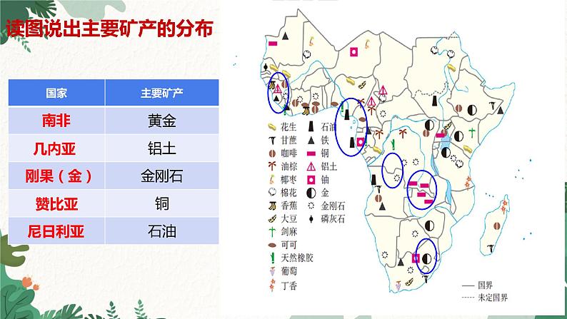 人教版地理七年级下册 第八章 东半球其他的地区和国家 第三节 撒哈拉以南非洲 第二课时课件第8页