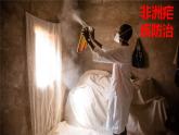 人教版地理七年级下册 第八章 东半球其他的地区和国家 第三节 撒哈拉以南非洲 第三课时课件