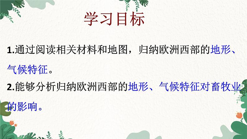 人教版地理七年级下册 第八章 东半球其他的地区和国家 第二节 欧洲西部 第二课时课件03