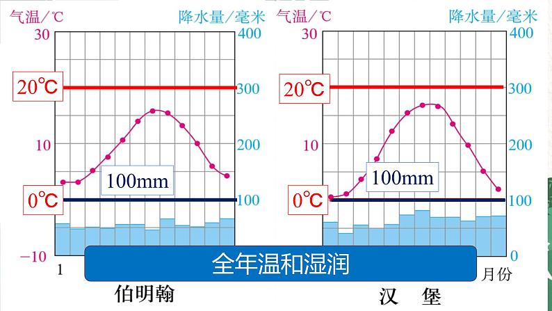 人教版地理七年级下册 第八章 东半球其他的地区和国家 第二节 欧洲西部 第二课时课件07