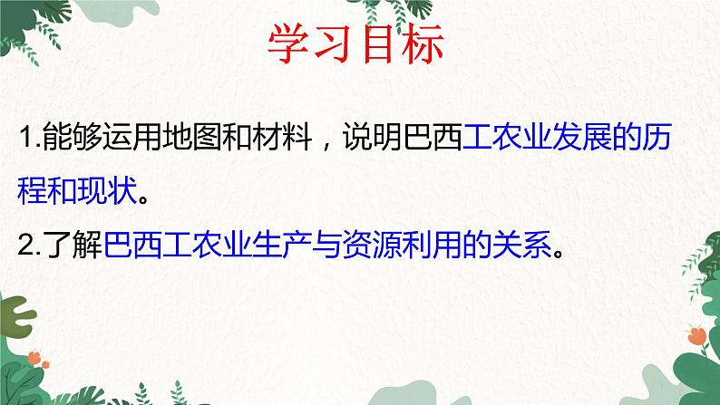 人教版地理七年级下册 第九章 西半球的国家 第二节  巴西  第二课时课件05