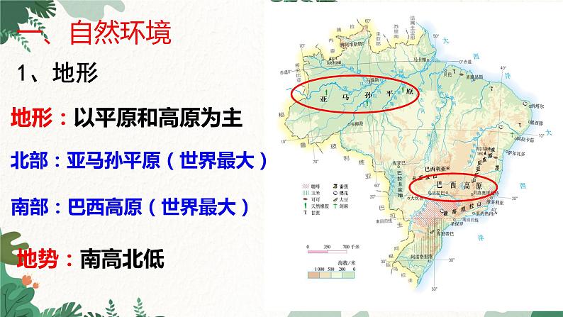 人教版地理七年级下册 第九章 西半球的国家 第二节  巴西  第二课时课件06