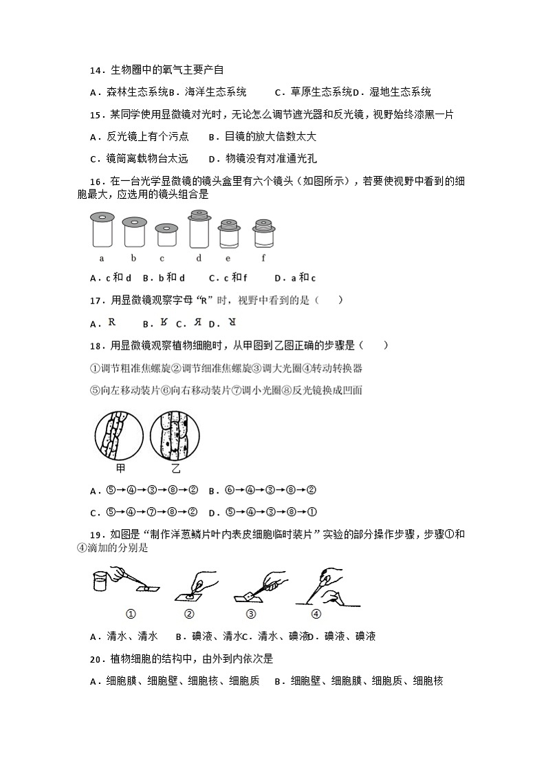 广东省深圳市翠园文锦中学2022-2023学年七年级上学期期中考试生物地理试题03