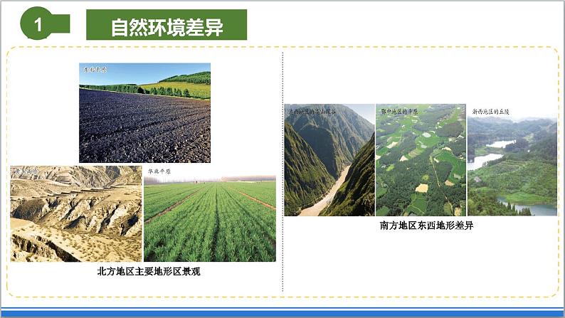 地理仁爱版八下6.2北方地区和南方地区课件第7页