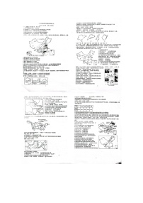 山东省聊城市东阿县实验中学2023-2024学年八年级上学期12月月考地理试题