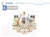 中图版地理八下第7章第三节 澳大利亚 第2课时（课件