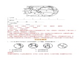 2.1 大洲和大洋（分层练）-【教学帮】2023-2024学年七年级地理上册同步精品课件（人教版）（解析版）