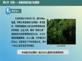 10.7 巴西——南美洲面积最大的国家 课件2023-2024学年地理晋教版七年级下册