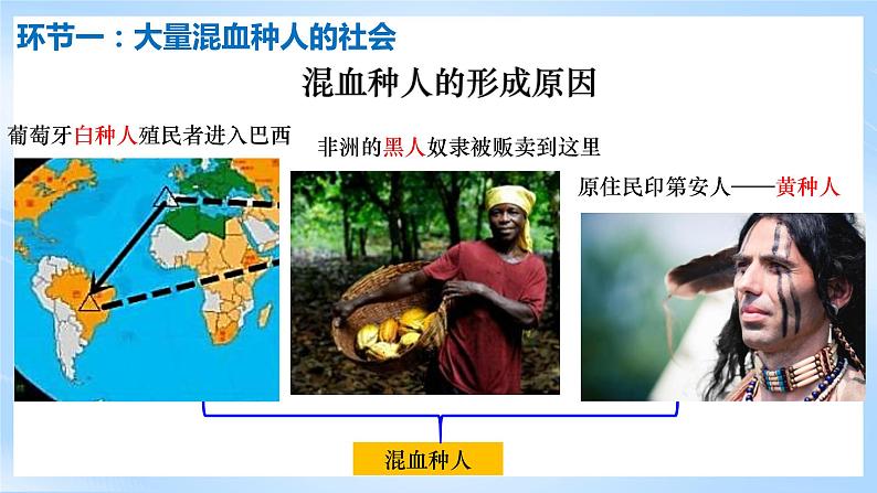 人教版地理七年级下册《9.2巴西》 课件第6页
