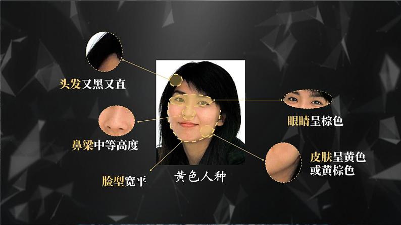 [湘教版]地理七年级上册3.2世界的人种教学课件第5页