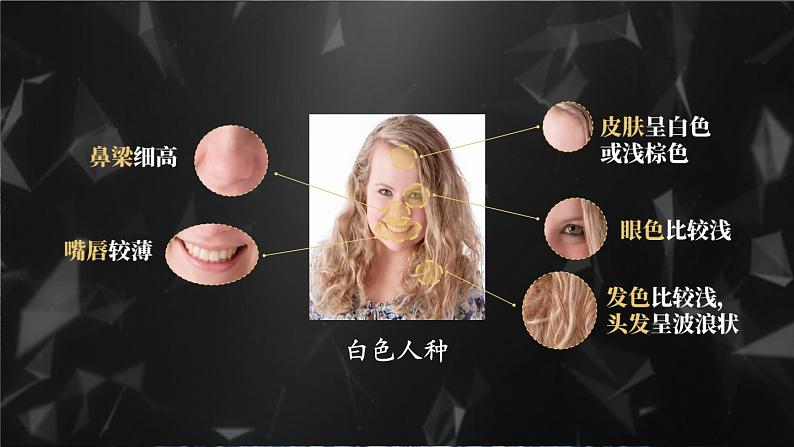[湘教版]地理七年级上册3.2世界的人种教学课件第6页