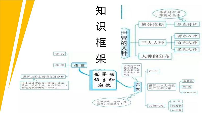 七年级地理上册单元复习课件（粤人版）第十一讲《世界的人种、语言和宗教》课件02