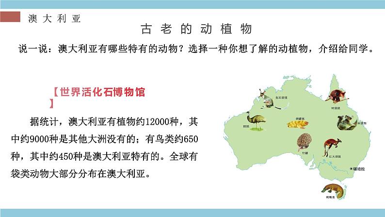 8.7  澳大利亚（第2课时） - 七年级地理下册同步教学精品课件（湘教版）第7页